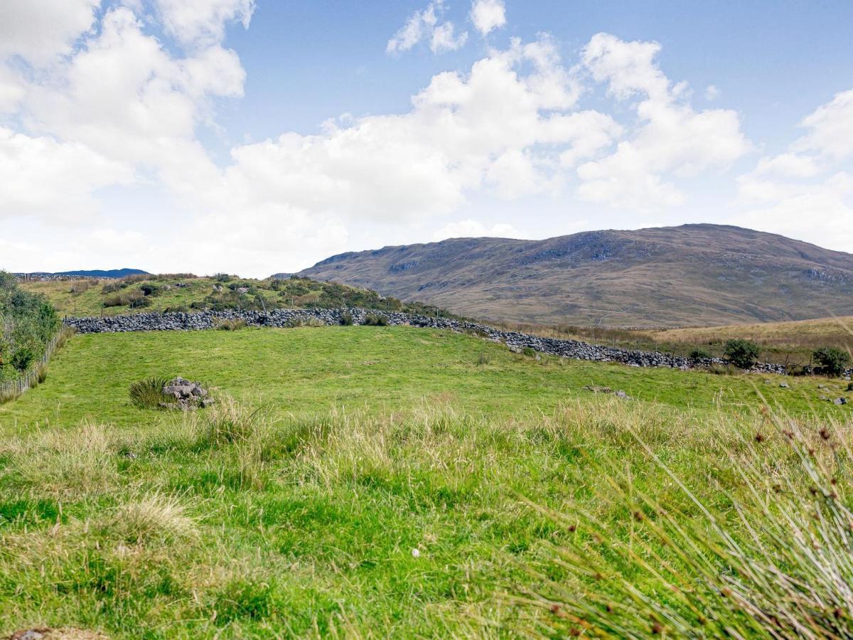 Llety Nest Villa Llanfachreth Dış mekan fotoğraf